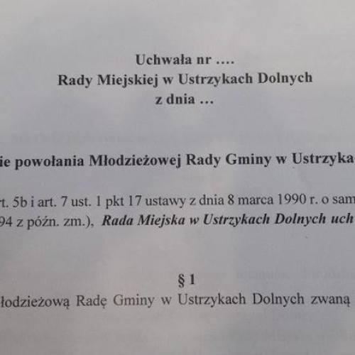 Młodzieżowa Rada Gminy powołana