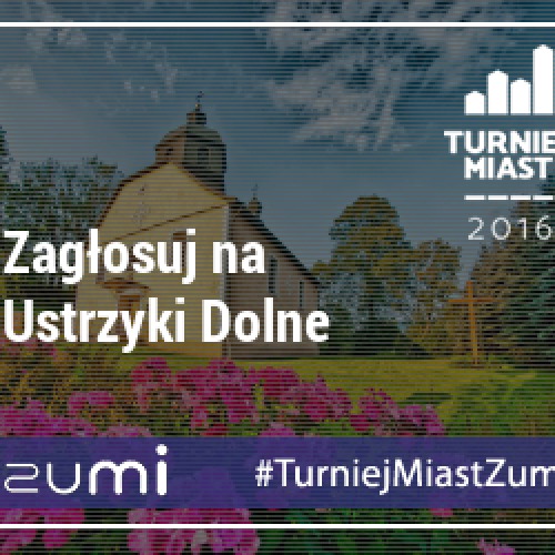 Ustrzyki Dolne w Turnieju Miast